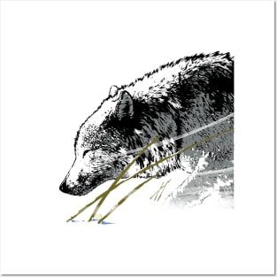 The timber wolf in the winter wind Posters and Art